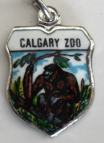 cimg9807.jpg
