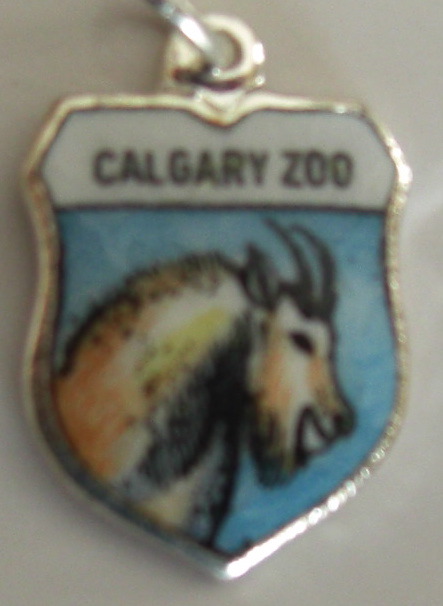 cimg9811.jpg