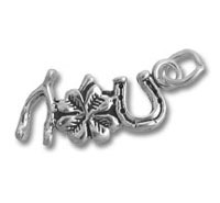 hcin019-l.jpg