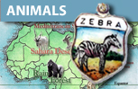 Animals - Shield Charms