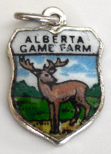 cimg9739.jpg