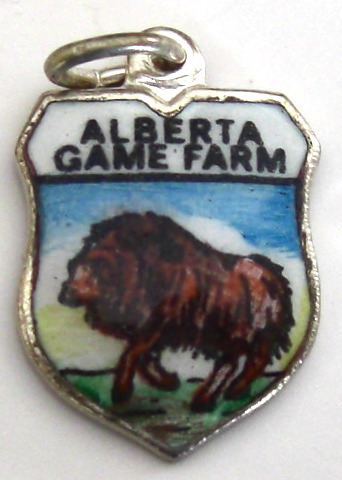 cimg9742.jpg