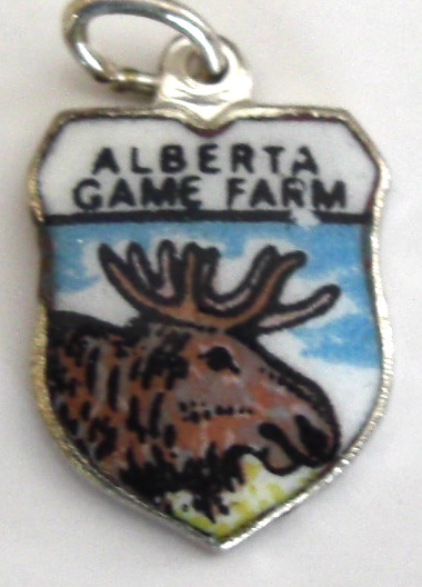 cimg9748.jpg